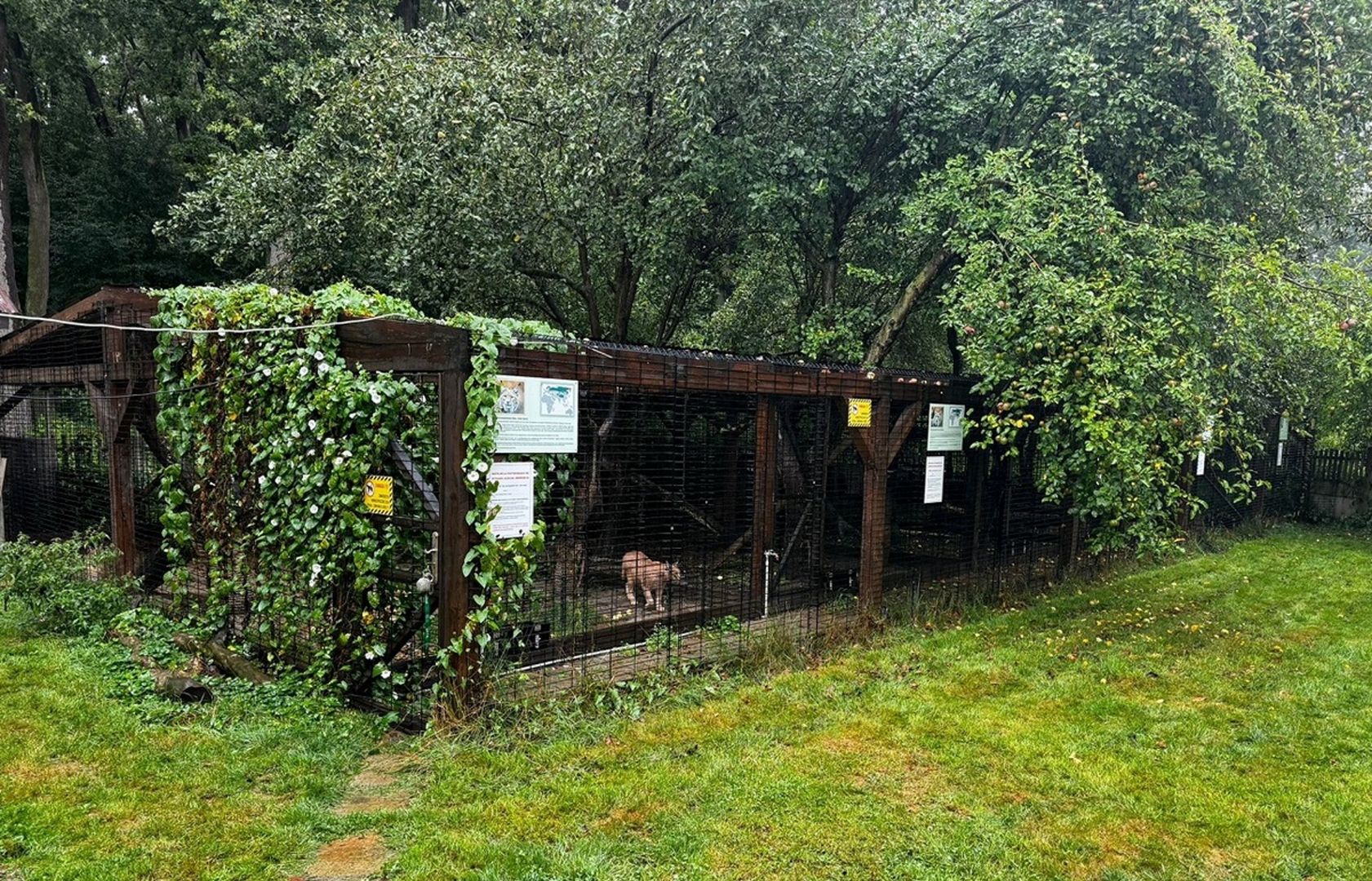 Skontrolowali posesję ze zwierzętami. Straszne, co odkryli