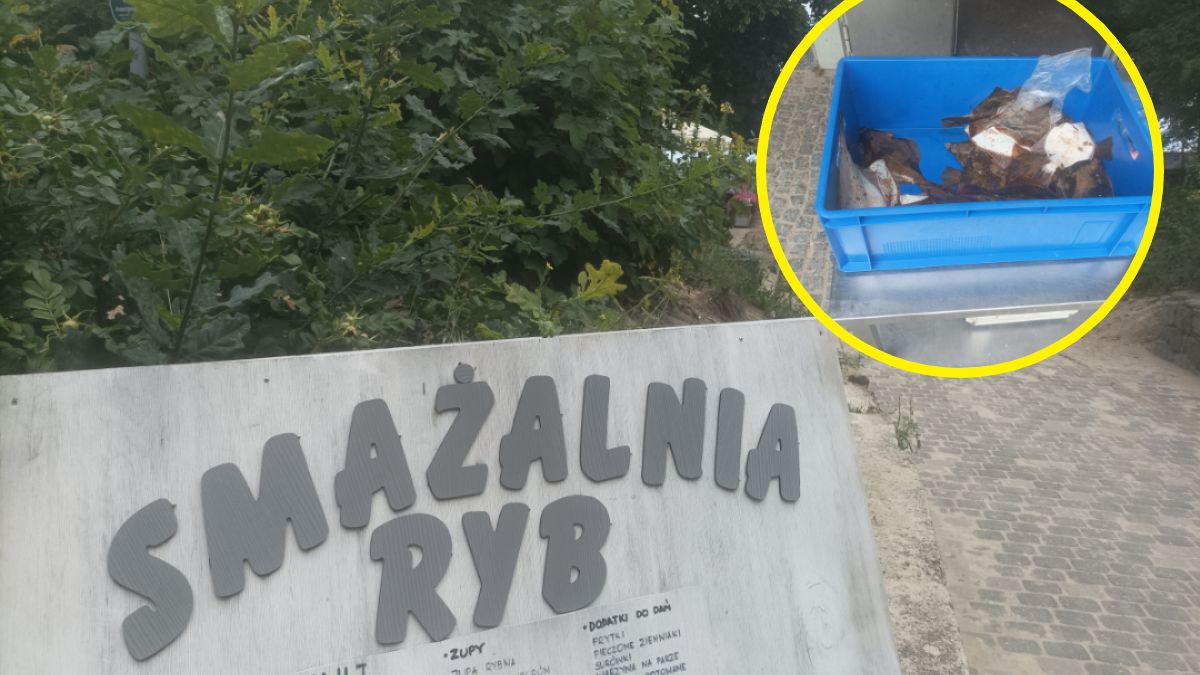 Jak mówią sprzedawcy, coraz częściej płacimy za porcję, nie za wagę ryby