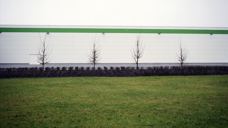 Jak człowiek niszczy miejskie krajobrazy? 1