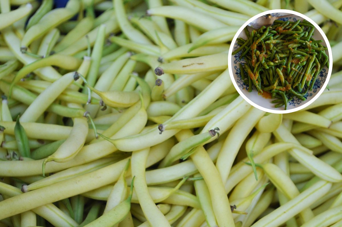 Green beans in this version are poison. Almost everyone makes this mistake.