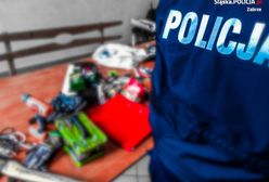 Zabrze. Specjalizowali się w okradaniu ogródków działkowych. Dostali 40 zarzutów