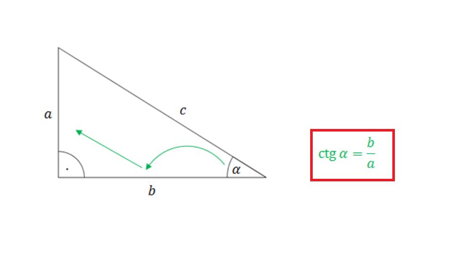 Obliczanie cotangensa kąta ostrego w trójkącie prostokątnym