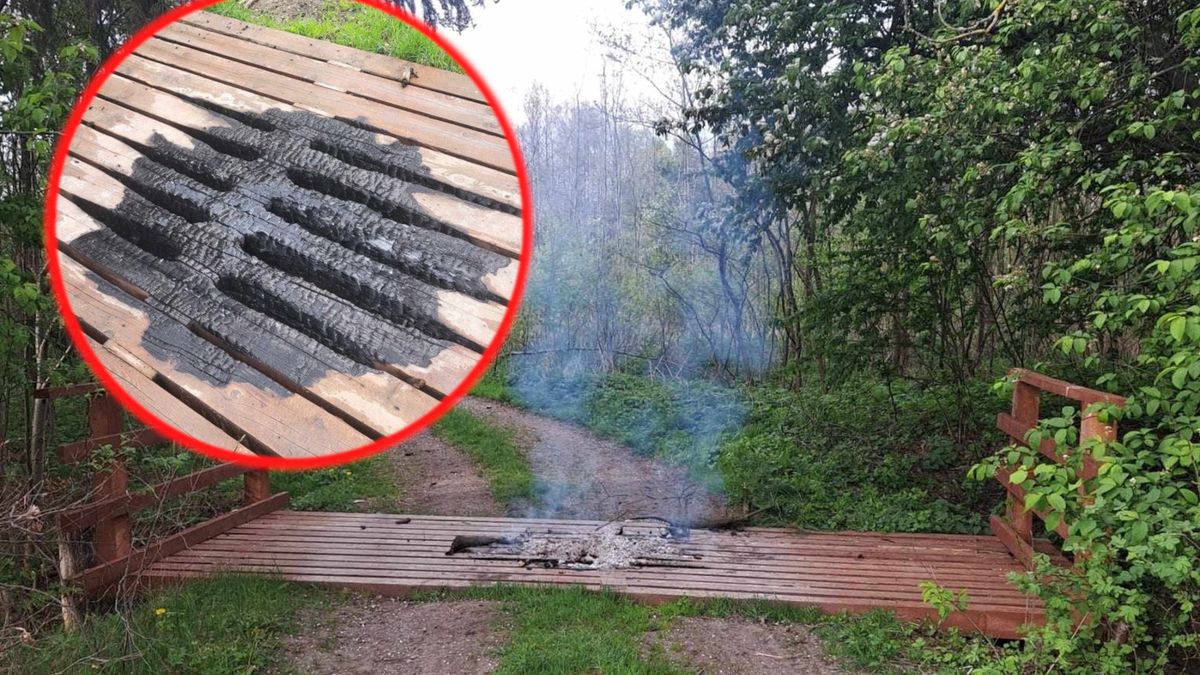 Wandal podpalił most w lasku w Międzylesiu. 