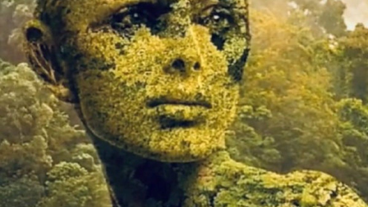 Co widzisz na tym obrazku? 