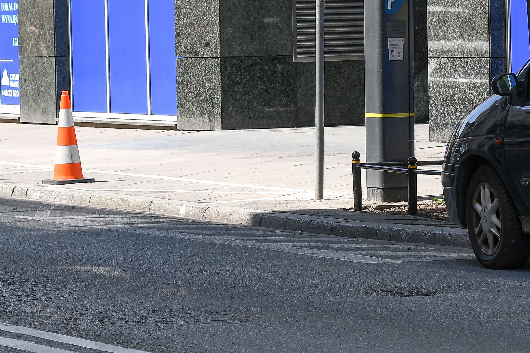 Dzień z życia Anny Wendzikowskiej