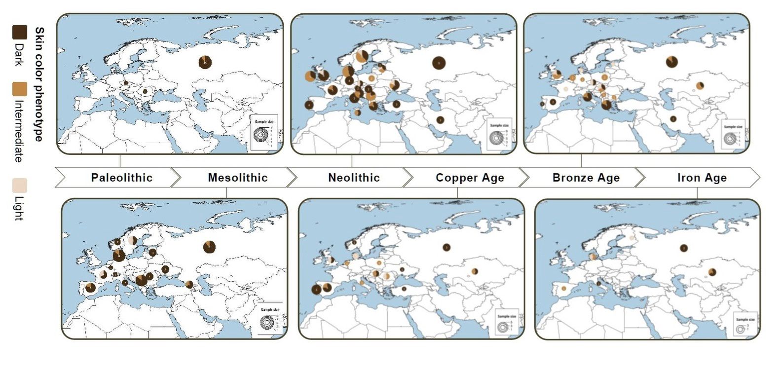Mapa pigmentacji skóryw Eurazji od paleolitu do epokiżelaza