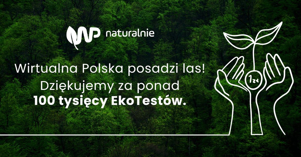 Wirtualna Polska posadzi las 