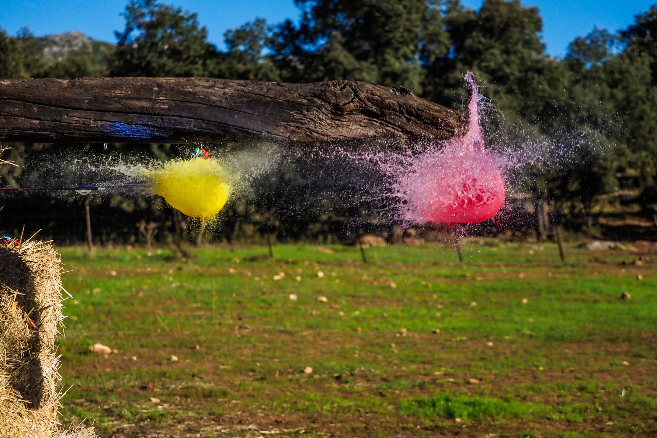 Olympus OM-D E-M1 Mark II - najszybszy na rynku [test] 34