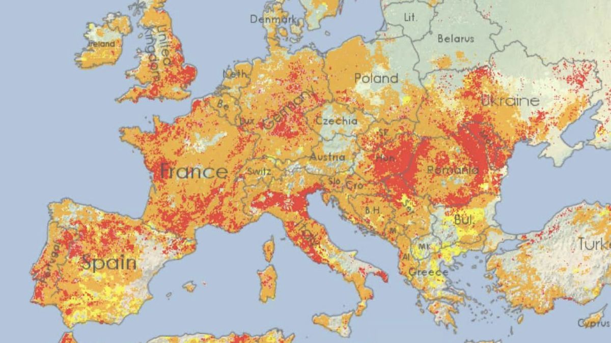 GDO Analytical Report