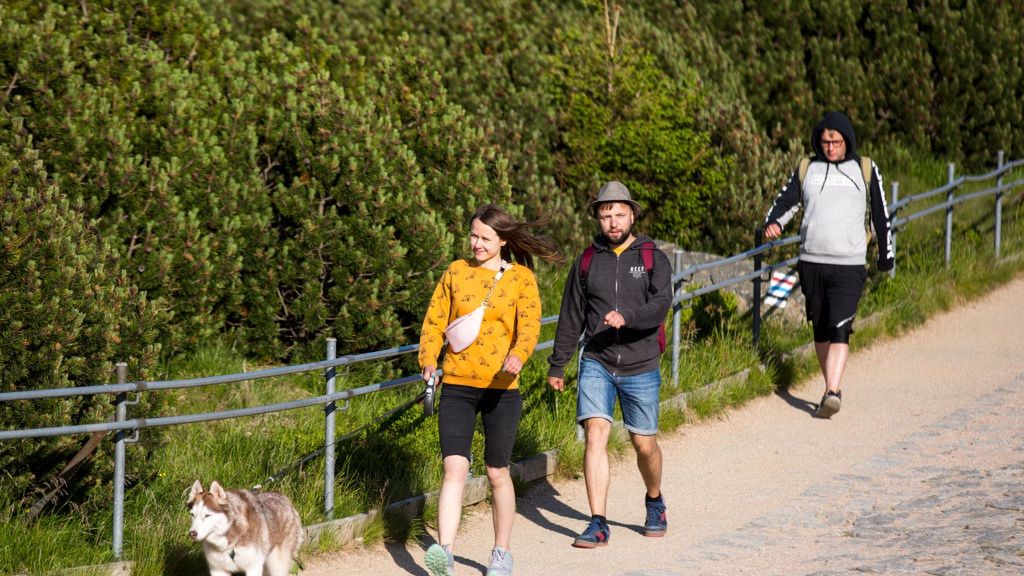 People are seen hiking with their dog on the mountain trail
POLAND - 2020/07/12: People are seen hiking with their dog on the mountain trail in Karkonosze National Park.
Karkonosze (The Krkonose or Giant Mountains) are mountain ranges located in the north of the Czech Republic and the south-west of Poland. The Karkonosze are a unique example of the alpine landscape in the area and have been a nature reserve since 1933. (Photo by Karol Serewis/SOPA Images/LightRocket via Getty Images)
SOPA Images
mountain trail, karkonosze, giant mountains, mountainous, landscape, karkonosze national park, tourism destination, krkonose, bestof, topix