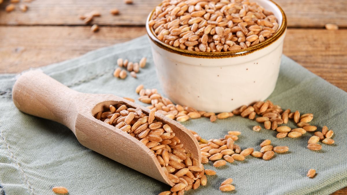 Orkisz to kluczowy komponent diety św. Hildegardy