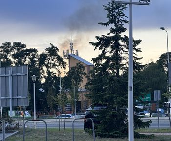 Zielona Góra. Ktoś podpalił drzewa i płonie las