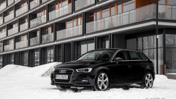 Zdjęcie ilustracyjne do artykułu