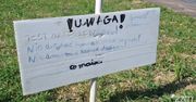 Stanęły w Poznaniu. "Nie dotykać". Ujęcia obiegają sieć