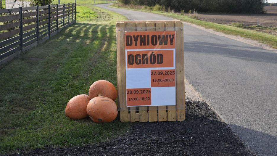 Dyniowy Ogród w Kłodzinie
