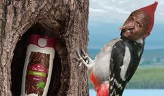 Terry Crews jako zły dzięcioł z Isaiahem Mustafą reklamują Old Spice’a (wideo)