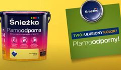 Śnieżka wybiera Mindshare Polska