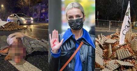 Agnieszka Woźniak-Starak oburzona MARTWĄ ŚWINIĄ na ulicy. "Tyle dla rolników znaczy życie zwierząt, z których żyją"