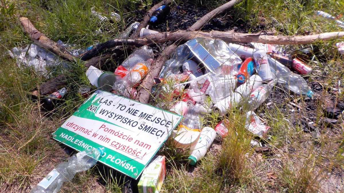 Kara za śmiecenie w lesie wzrośnie do 5 tys. zł
