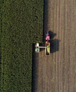 Zbierał kukurydzę. Maszyna przygniotła mu dłoń