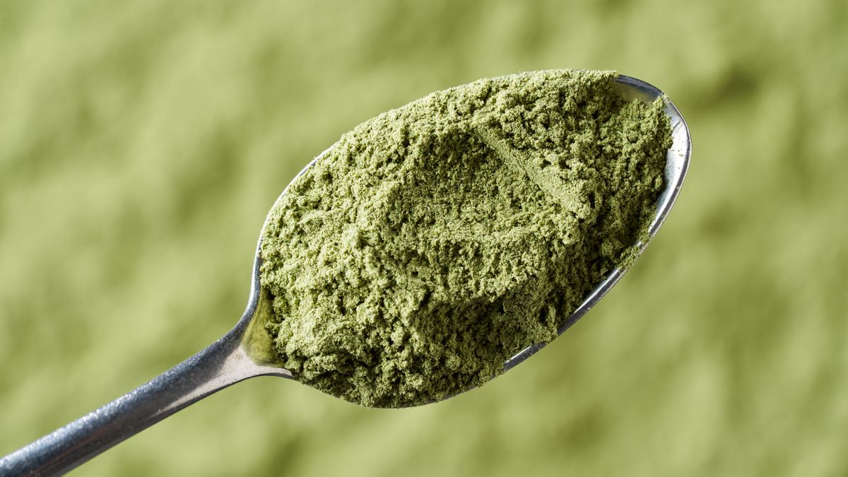 Moringa wspomaga pracę wątroby