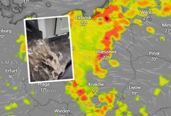 "Kielce toną", nagrania po burzy. Pokazali też, co się działo w Tatrach