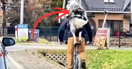 "Gdzieś na Podhalu". Nagranie podbija sieć. Spójrzcie