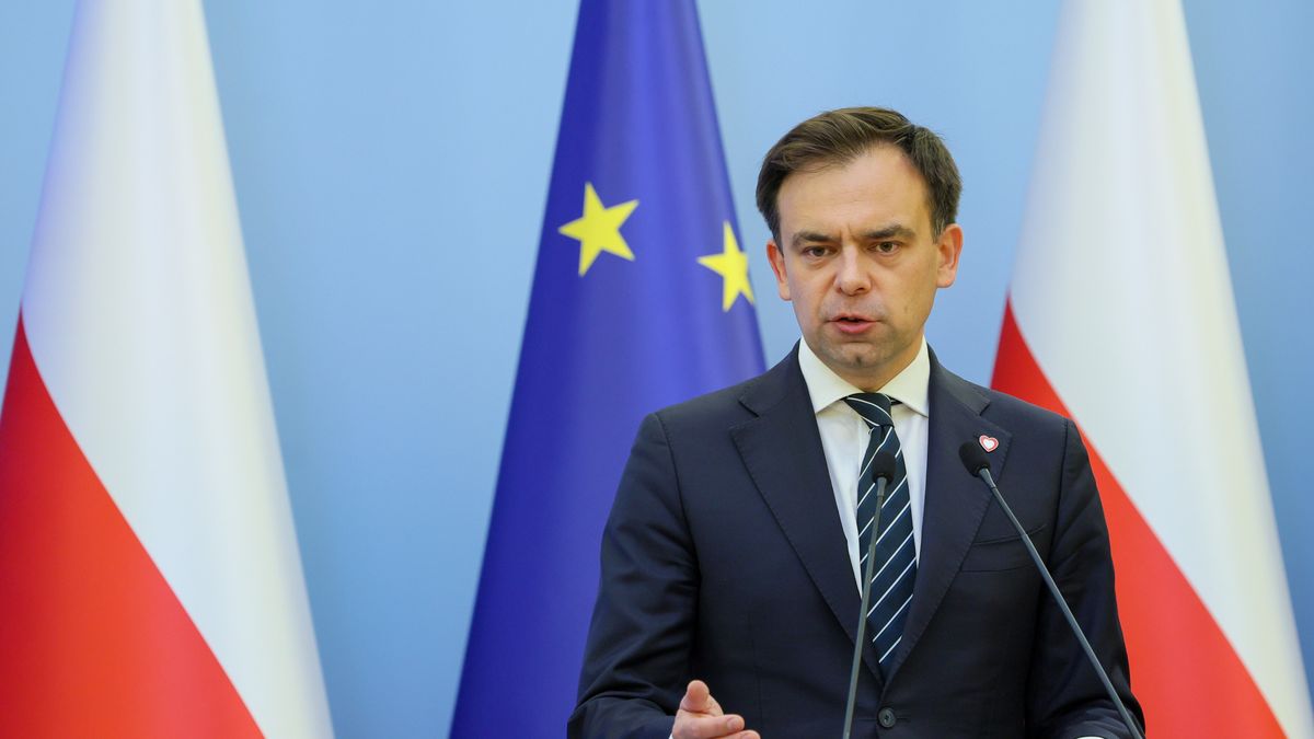 Minister finansów i gospodarki Andrzej Domański 