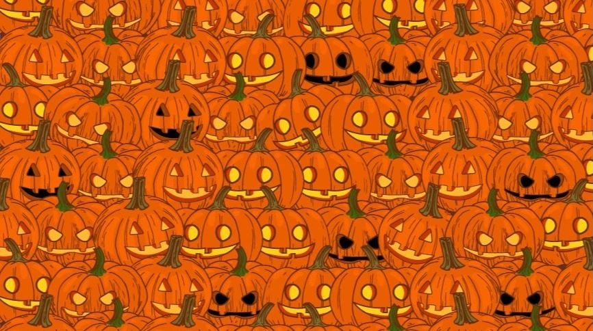 Zagadka dla dzieci. Rozwija ich spostrzegawczość