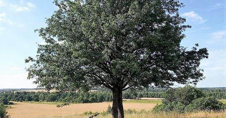 Trasy rowerowe jura krakowsko-częstochowska – aplikacja