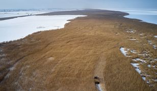 Pogoda. Nadchodzi nagłe ocieplenie. "Pierwsze powiewy wiosny"