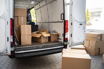 Wysłała ptaka pocztą. Nie przeżył. Prokuratura chce kary dla 49-latki