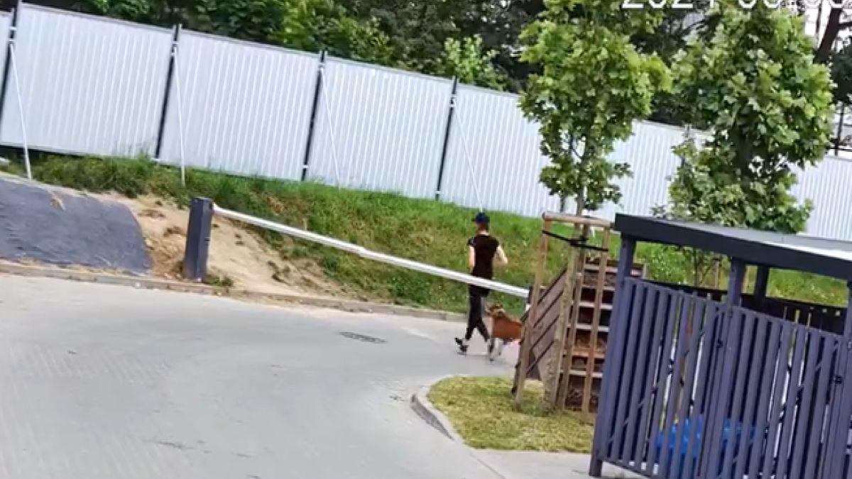 Poszukiwana kobieta sama zgłosiła się na policję