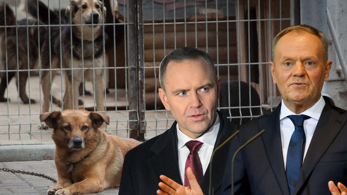 Tusk odpowiedział Nawrockiemu ws. tzw. ustawy łańcuchowej