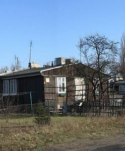 Wrocław. Podróż do historii. Archeolodzy zbadają dawny nazistowski obóz