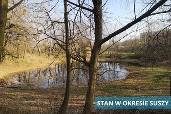 Poznań: Dzięki mieszkańcom miejskie spółki uratują staw. Będzie zielona inwestycja nad Wartą
