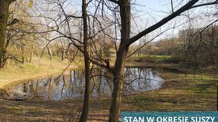 Poznań: Dzięki mieszkańcom miejskie spółki uratują staw. Będzie zielona inwestycja nad Wartą