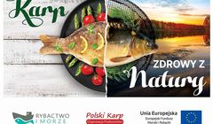 Rusza kampania promująca walory karpia