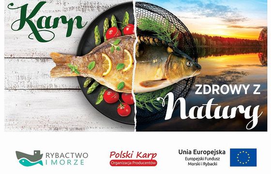 Rusza kampania promująca walory karpia