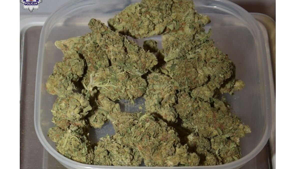 Marihuana