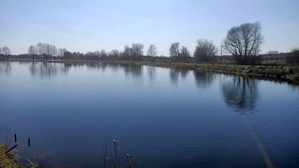 Staw pana Wiesława ma 40 ha. - Płacę krocie za pozwolenie na magazynowanie wody - tłumaczy.