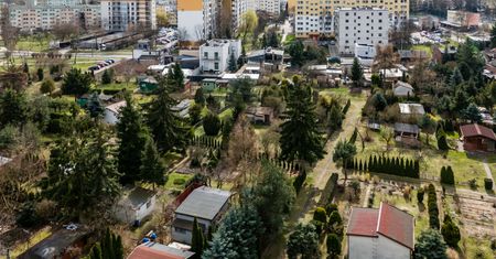 Bitwa o ogródki działkowe. Luka w przepisach może pokrzyżować plany