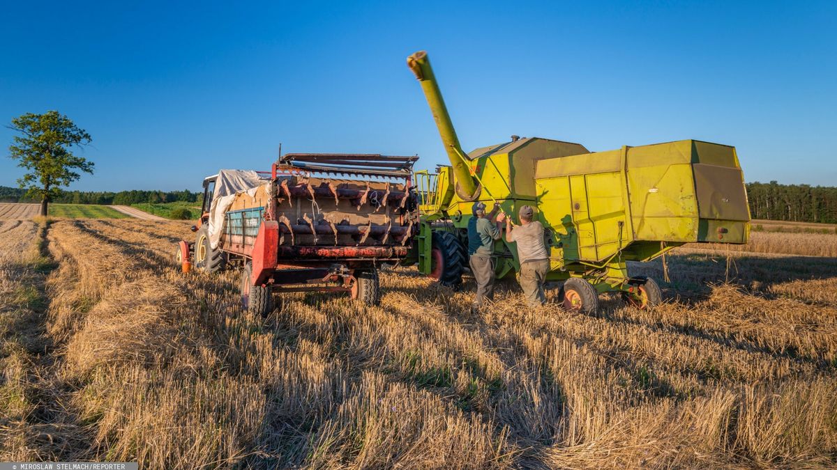 Wśród zapisów umowy koalicyjnej jest również ten dotyczący kwestii rolnictwa
