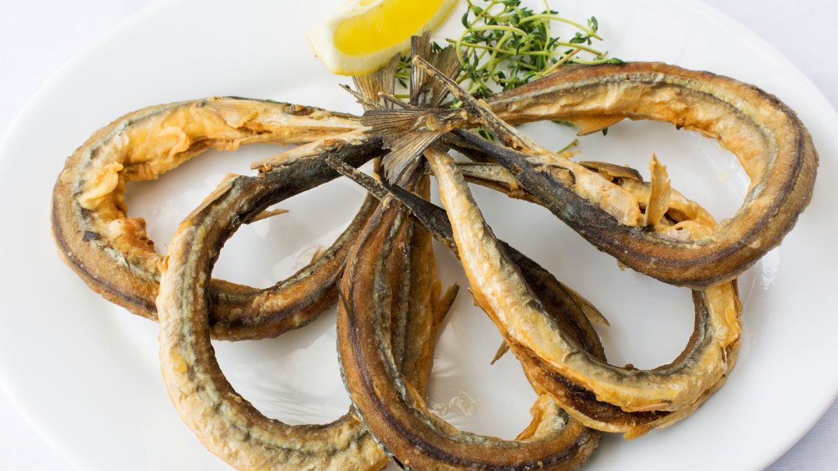 Dlaczego warto jeść belonę? 