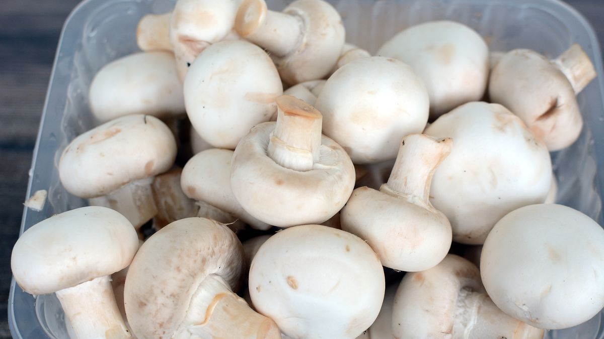Skórka pieczarek kryje w sobie wiele składników odżywczych