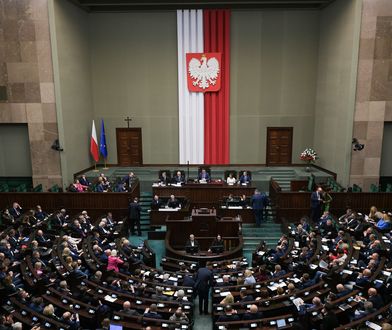 Sejm zdecydował ws. komisji ds. pedofilii. Jest nowe nazwisko