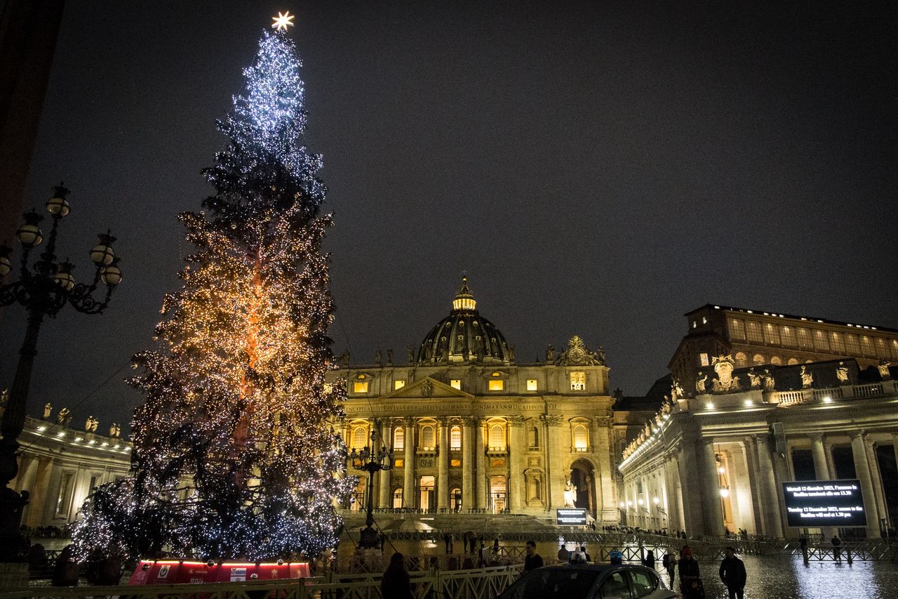 There won't be a Christmas tree in St. Peter's Square?