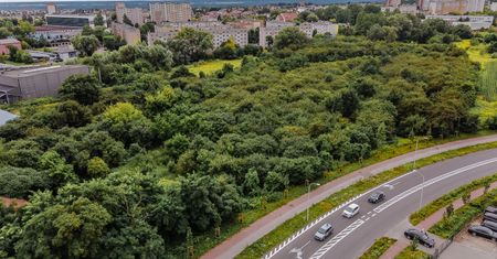 Powstanie park na Międzytorzu za blisko 9 milionów złotych