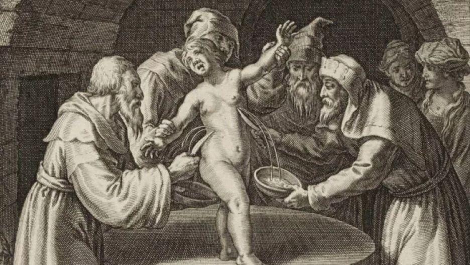 Rycina Raphaela Sadelera