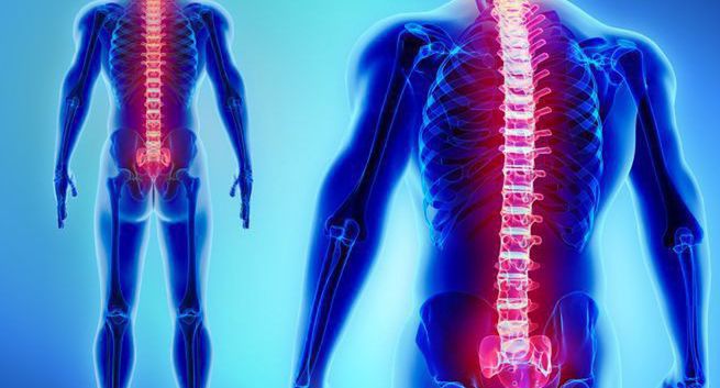 Implanty mają leczyć urazy i schorzenia kręgosłupa. Do sprzedaży trafią w ciągu kilku lat